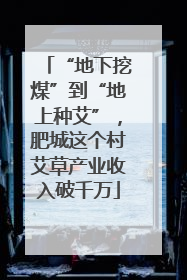 “地下挖煤”到“地上种艾”，肥城这个村艾草产业收入破千万